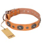 "Twinkle Twinkle" FDT Artisan Incredible Studded Tan Leather Amstaff Collar