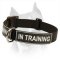 Amstaff Nylon Dog Collar With Identification Patches