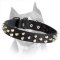 Custom Amstaff Leather Dog Collar With 3 Rows Of Small Pyramids