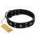 "Snappy Dresser" FDT Artisan Black Leather Amstaff Collar Adorned with Stars and Tiny Squares