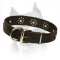 'Flower Blues' Leather Amstaff Collar for Walking in Style