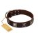 "Nut-Brown Finery" Embellished FDT Artisan Brown Leather Amstaff Collar with Chrome Plated Crossbones and Plates