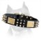 Amstaff Leather Dog Collar With Plates, Spikes And Studs