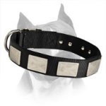 Nylon Dog Collar With Vintage Plates For Amstaff Dog Breed