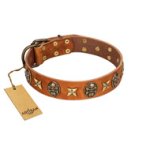 "Rockin' Doggie" FDT Artisan Tan Leather Amstaff Collar Adorned with Stars and Skulls