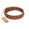 "Heroic Deeds" Designer Handmade FDT Artisan Tan Leather Amstaff Collar