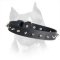Leather Spiked Amstaff Dog Collar
