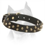 3 Rows Studded Leather Amstaff Collar