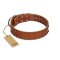 "Star Light" Stylish FDT Artisan Tan Leather Amstaff Collar with Silver-Like Studs