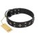 "Star Excitement" Modern FDT Artisan Black Leather Amstaff Collar with Studs and Stars