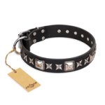 "Space Walk" FDT Artisan Black Leather Amstaff Collar with Adornments