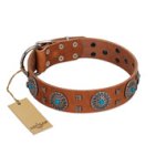 "Blue Sands" FDT Artisan Tan Leather Amstaff Collar with Silver-like Studs and Round Conchos with Stones