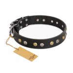 "Jewelry Peas" FDT Artisan Decorated Black Leather Amstaff Collar