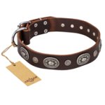 "Extra Pizzazz" FDT Artisan Adorned Brown Leather Amstaff Collar