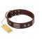 "Stone Stars" Stylish Handmade FDT Artisan Brown Leather Amstaff Collar