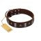 "War Chief" FDT Artisan Genuine Brown Leather Amstaff Collar with Skulls and Plates