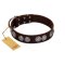 "High and Mighty" FDT Artisan Classy Brown Leather Amstaff Collar with Embellished Brooches