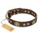 "One-of-a-Kind" FDT Artisan Handmade Decorated Brown Leather Amstaff Collar