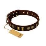 "Golden Elegance" FDT Artisan Brown Leather Amstaff Collar with Old Bronze-like Decorations