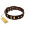 "Lord of Dogs" FDT Artisan Brown Leather Amstaff Collar with Old Bronze-like Dotted Studs and Tiles