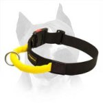 Practicable All Weather Nylon Dog Collar For American Staffordshire Terrier
