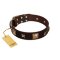 "Choco Dreams" FDT Artisan Brown Leather Amstaff Collar with Squares and Stars