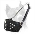 Attack/Agitation Training Leather Amstaff Muzzle