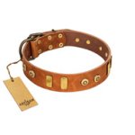 "Egyptian Script" FDT Artisan Tan Leather Amstaff Collar with Plates and Small Studs