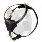 Small Leather Dog Harness for Amstaff Puppy