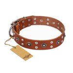 "Silver Elegance" FDT Artisan Decorated Leather Amstaff Collar with Old Silver-Like Plated Studs and Cones