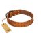 "Walk and Shine" FDT Artisan Tan Leather Amstaff Collar with Antiqued Studs