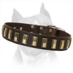 Ornament Dog Collar Made Of Leather For Amstaff