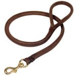 Rolled Leather Amstaff Dog Leash for Walking and Training