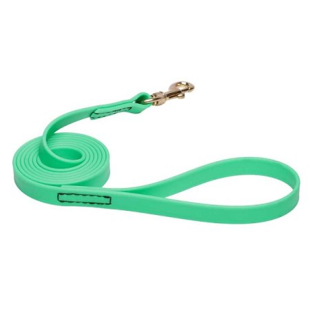 Green Waterproof Amstaff Leash Made of Biothane