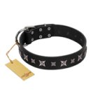 "Polar Lights" Designer FDT Artisan Black Leather Amstaff Collar with Silver-Like Studs