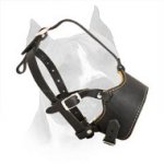 Nappa Padded Leather Dog Muzzle For Amstaff Breed