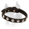 Amstaff Leather Collar with Massive Nickel Half Ball Studs