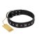 "Polar Lights" Designer FDT Artisan Black Leather Amstaff Collar with Silver-Like Studs