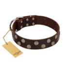 "Shadow Warrior" FDT Artisan Mystic Brown Leather Amstaff Collar with Runes