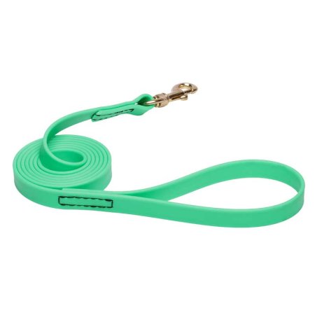 Green Waterproof Amstaff Leash Made of Biothane