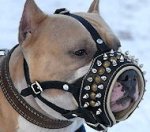 Our Best-Selling Royal Spiked Leather Dog Muzzle
