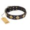 "Fancy-Schmancy" FDT Artisan Studded Leather Amstaff Collar