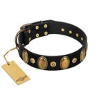 "Venerable Pawty" FDT Artisan Black Leather Amstaff Collar with Old Bronze-like Ovals and Studs