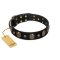 Pirate's Spell' FDT Artisan Black Leather Amstaff Collar with Engraved Studs and Medallions