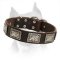 Outstanding Leather Amstaff Collar with Vintage Nickel Plates
