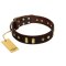 "Blinking Illusion" FDT Artisan Brown Leather Amstaff Collar with Old Bronze-like Studs and Plates