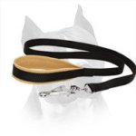 Nylon Amstaff Leash with Intense Padded Handle