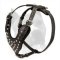 Studded With Pyramids Amstaff Leather Dog Harness
