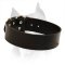 Extremely Wide All Weather Amstaff Dog Leather Collar