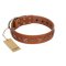 "Star Shine" Exclusive FDT Artisan Tan Leather Amstaff Collar with Silver-Like Adornments